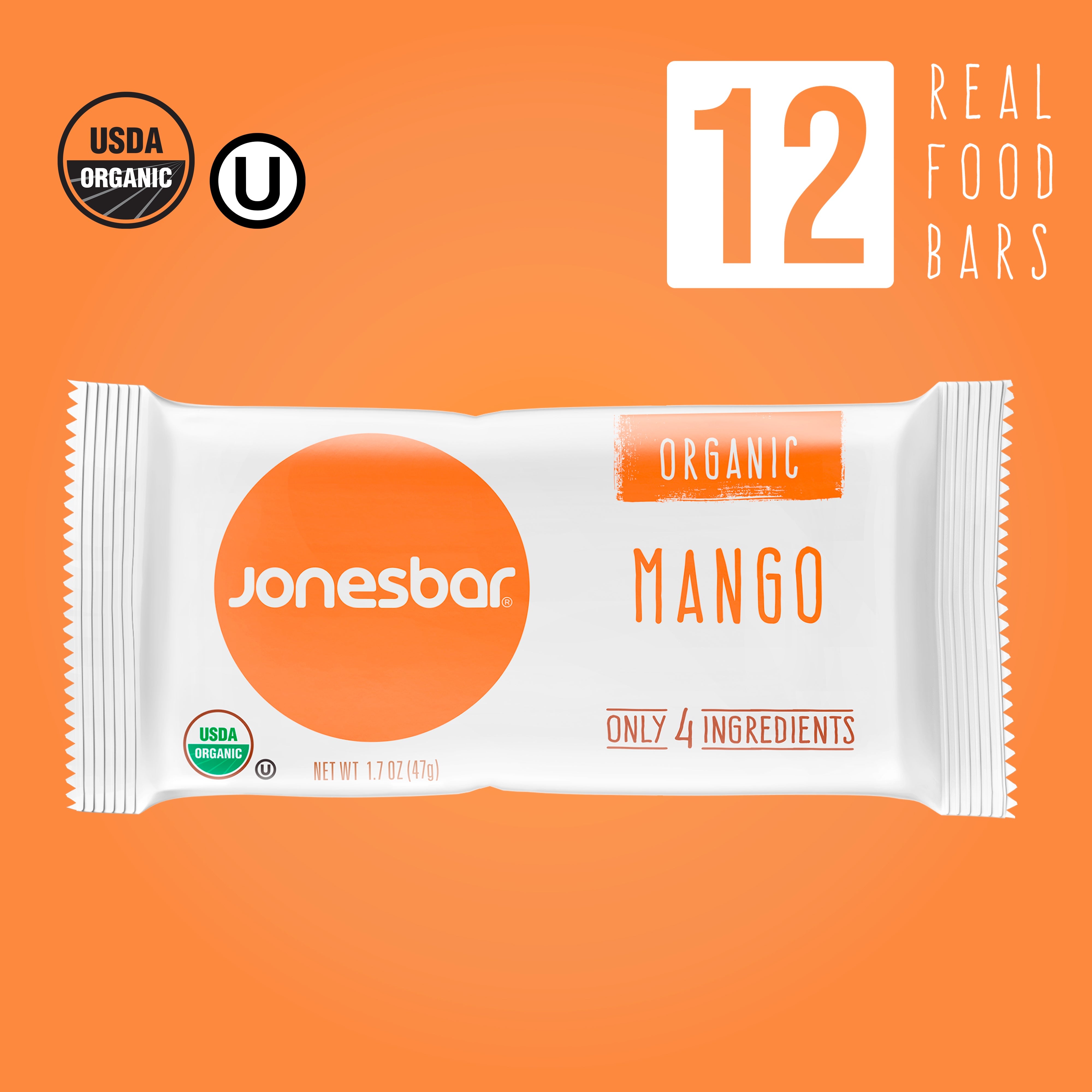 Organic Mango Almond Date Bars – 5-Ingredient Snack (12-Pack)