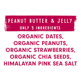 Organic PB + J Date Bars – 5-Ingredient Snack (12-Pack)