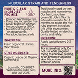 St. John’s Wort Oil Soothe & Recover