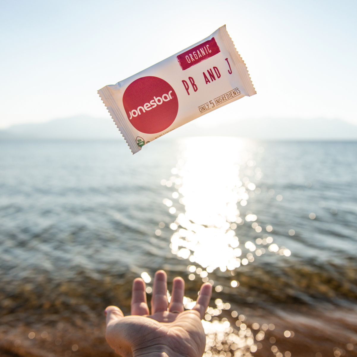 Organic PB + J Date Bars – 5-Ingredient Snack (12-Pack)